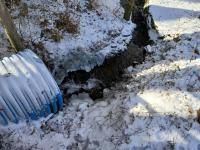 20250215_094122 (1024x768).jpg